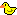 Borladuck